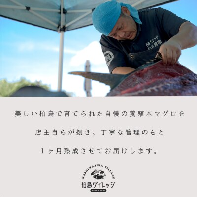 熟成 生 本マグロ 大トロ 中トロ 2種 計400g 各200g 冷蔵 刺身用 国産 熟成本まぐろ