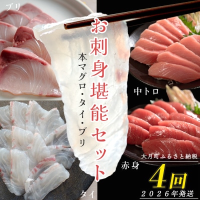 【定期便 4回】 本マグロ タイ ブリ 刺身 本まぐろ 真鯛 ぶり 堪能セット 産地直送 冷凍