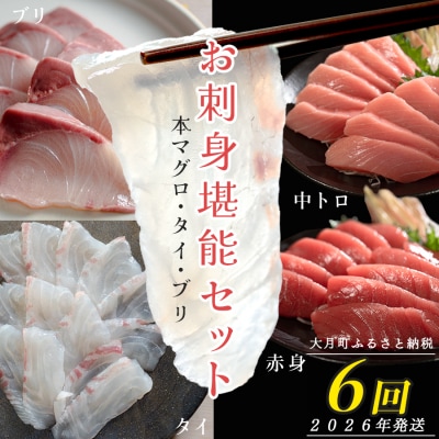 【定期便 6回】 本マグロ タイ ブリ 刺身 本まぐろ 真鯛 ぶり 堪能セット 産地直送 冷凍