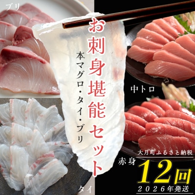 【定期便 12回】 本マグロ タイ ブリ 刺身 本まぐろ 真鯛 ぶり 堪能セット 産地直送 冷凍