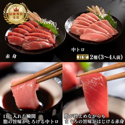 【定期便 12回】 本マグロ タイ ブリ 刺身 本まぐろ 真鯛 ぶり 堪能セット 産地直送 冷凍