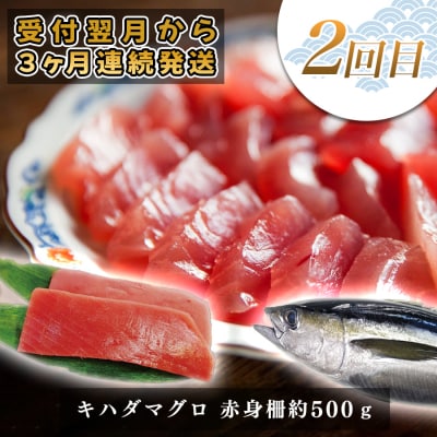 【定期便 3回】 土佐のごちそう 海のめぐみ 海鮮 秋冬便 藁焼き 鰹たたき 一夜干し 干物 漬け丼