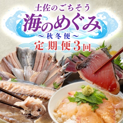 【定期便 3回】 土佐のごちそう 海のめぐみ 海鮮 秋冬便 藁焼き 鰹たたき 一夜干し 干物 漬け丼