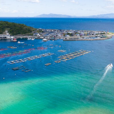 鯛丼の素 5食セット 真鯛 漬け丼 特製タレ 冷凍 海鮮 鯛茶漬け 高知 柏島 谷鮮魚食堂
