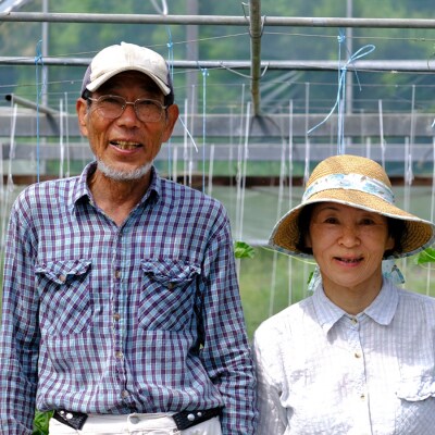 スナップエンドウ 800g  豆 えんどう 産地直送 新鮮 旬の春野菜 厳選 採れたて サラダ 彩り