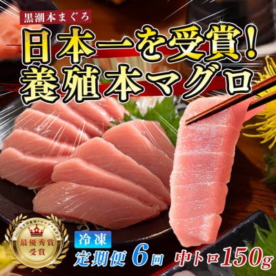 訳あり 不定貫 国産 まぐろ 本マグロ 黒潮 中トロ 定期便 6回 120g × 6回 刺身
