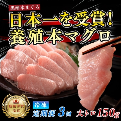 まぐろ マグロ 本鮪 黒潮本まぐろ 大トロ 定期便 3回 150g × 3回 刺身 冷凍 産地直送