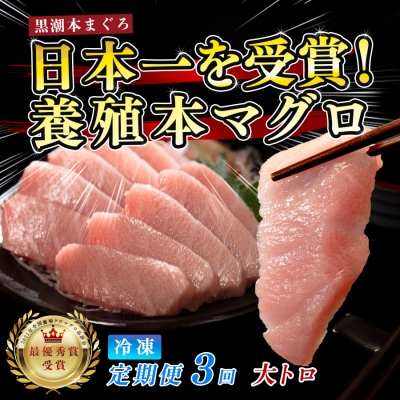 訳あり 不定貫 国産 まぐろ 本マグロ 黒潮 大トロ 定期便 3回 120g × 3回 刺身