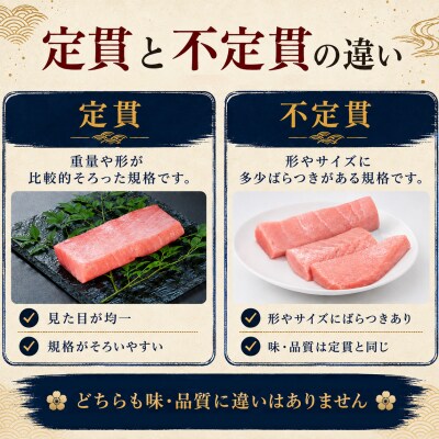 訳あり 不定貫 国産 まぐろ 本マグロ 刺身 中トロ 赤身 定期便  計300g × 6回