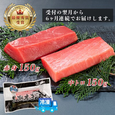 まぐろ マグロ 本鮪 黒潮本まぐろ 中トロ 赤身 定期便 6回 計300g × 6回 刺身 柵 冷凍