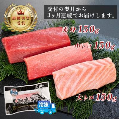 まぐろ マグロ 本鮪 黒潮本まぐろ 大トロ 中トロ 赤身 定期便 3回 計450g × 3回 刺身
