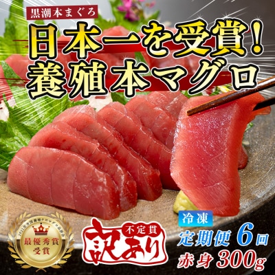 訳あり 不定貫 国産 まぐろ 本マグロ 黒潮 赤身 定期便 6回 300g × 6回 刺身