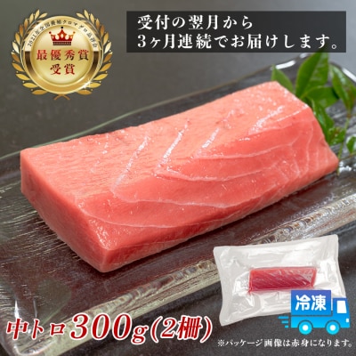 訳あり まぐろ マグロ 本鮪 黒潮本まぐろ 中トロ 定期便 3回 300g × 3回 刺身