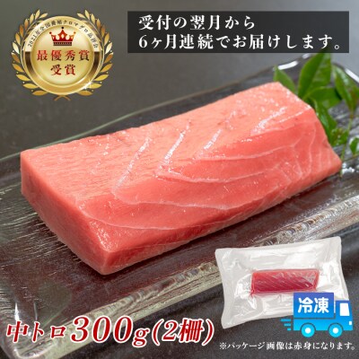 訳あり まぐろ マグロ 本鮪 黒潮本まぐろ 中トロ 定期便 6回 300g × 6回 刺身