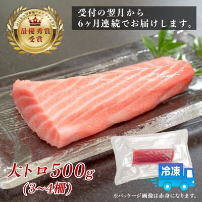 訳あり まぐろ マグロ 本鮪 黒潮本まぐろ 大トロ 定期便 6回 500g × 6回 刺身