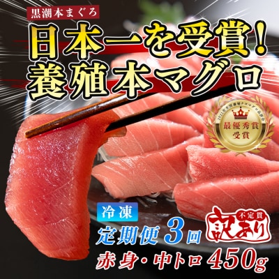 訳あり 不定貫 国産 まぐろ 本マグロ 刺身 赤身 中トロ 定期便  計450g × 3回