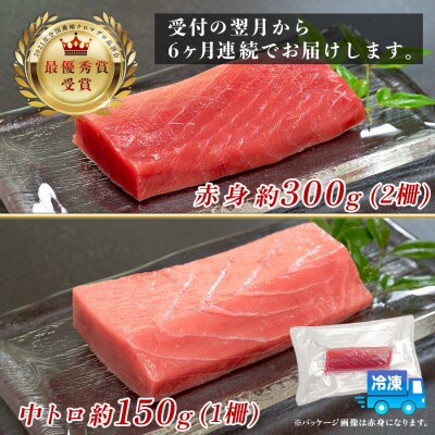 訳あり まぐろ マグロ 本鮪 黒潮本まぐろ 赤身 中トロ 定期便 6回 計450g × 6回 刺身