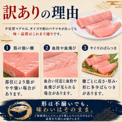 訳あり 不定貫 国産 まぐろ 本マグロ 刺身 赤身 中トロ 大トロ 定期便 計450g × 3回