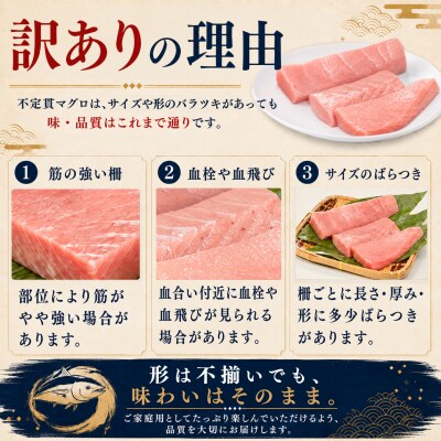 訳あり 不定貫 国産 まぐろ 本マグロ 刺身 赤身 中トロ 大トロ 定期便 計450g × 6回