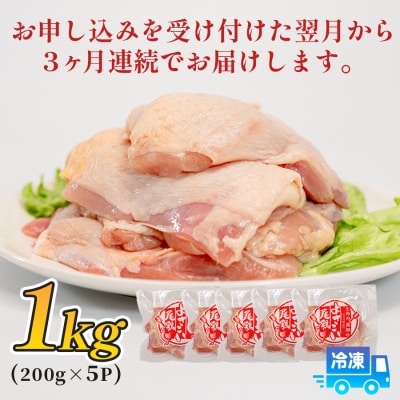 鶏肉 もも肉 1kg 定期便 3回 (1kg×3回) 鶏もも モモ肉 チキン 切り身 若鶏 小分け