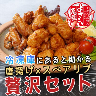 国産 よさこい尾鶏 鶏肉 唐揚げ 手羽中 チキンスペアリブ 2.7kg 冷凍 簡単調理 レンジ