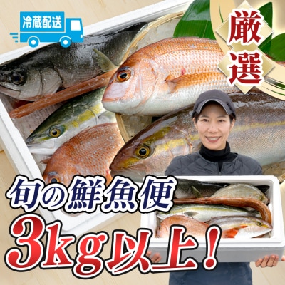 鮮魚 3kg～ 鮮魚ボックス 詰め合わせ 刺身 刺し身 さしみ 鮮度抜群 産地直送 高知県産