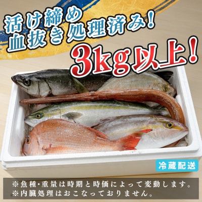鮮魚 3kg～ 鮮魚ボックス 詰め合わせ 刺身 刺し身 さしみ 鮮度抜群 産地直送 高知県産