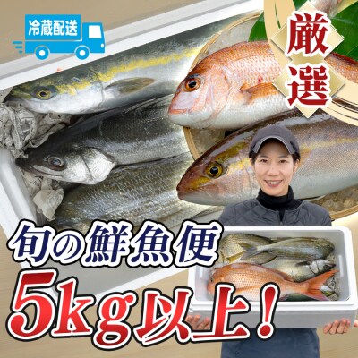 鮮魚 5kg～ 鮮魚ボックス 詰め合わせ 刺身 刺し身 さしみ 鮮度抜群 産地直送 高知県産