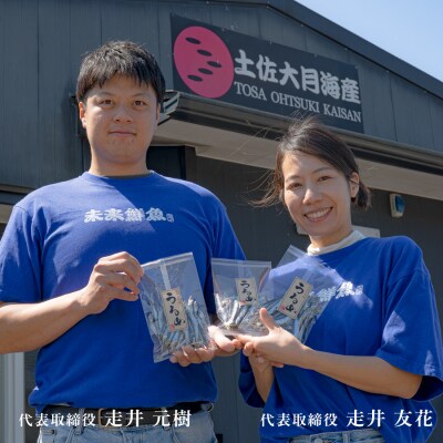 鮮魚 5kg～ 鮮魚ボックス 詰め合わせ 刺身 刺し身 さしみ 鮮度抜群 産地直送 高知県産