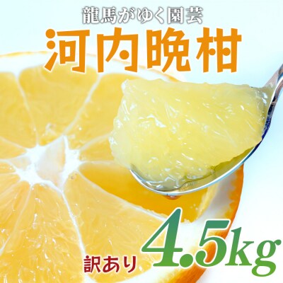 【訳あり】 河内晩柑 4.5kg (M～5L) ばんかん 晩柑 夏文旦 家庭用 みかん 柑橘