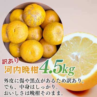【訳あり】 河内晩柑 4.5kg (M～5L) ばんかん 晩柑 夏文旦 家庭用 みかん 柑橘