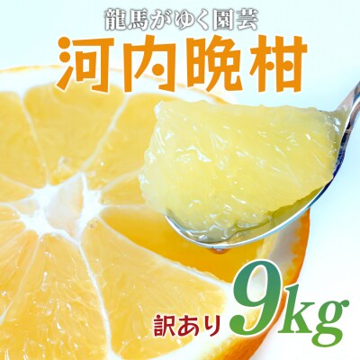 【訳あり】 河内晩柑 9kg (M～5L) 大容量 ばんかん 晩柑 夏文旦 家庭用 みかん 柑橘