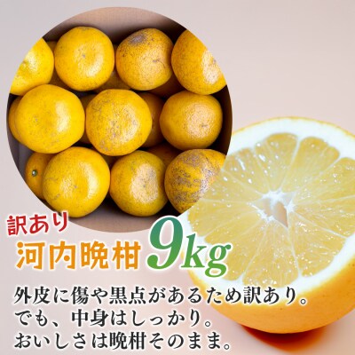 【訳あり】 河内晩柑 9kg (M～5L) 大容量 ばんかん 晩柑 夏文旦 家庭用 みかん 柑橘