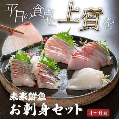 旬のお刺身用 柵セット 4～6種 高知 海鮮 盛り合わせ 食べ比べ 鮮度抜群 刺し身 グルメ 酒の肴