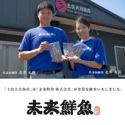 旬のお刺身用 柵セット 4～6種 高知 海鮮 盛り合わせ 食べ比べ 鮮度抜群 刺し身 グルメ 酒の肴