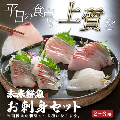 旬のお刺身用 柵セット 2～3種 高知 海鮮 盛り合わせ 食べ比べ 鮮度抜群 刺し身 グルメ 酒の肴