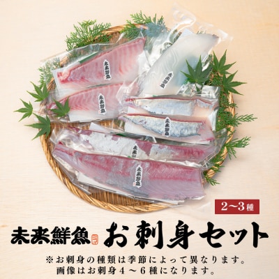 旬のお刺身用 柵セット 2～3種 高知 海鮮 盛り合わせ 食べ比べ 鮮度抜群 刺し身 グルメ 酒の肴