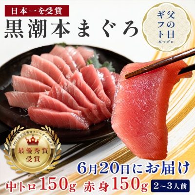 【父の日】6月20日お届け限定 本マグロ 中トロ・赤身 食べ比べ 日本一