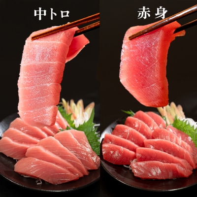 【父の日】6月20日お届け限定 本マグロ 中トロ・赤身 食べ比べ 日本一