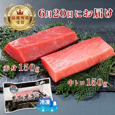 【父の日】6月20日お届け限定 本マグロ 中トロ・赤身 食べ比べ 日本一