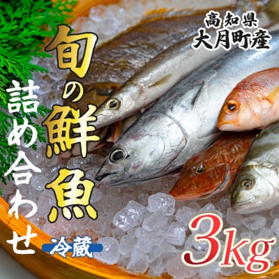 高知県産 鮮魚 詰め合わせ便 3kg 谷鮮魚食堂 刺し身 煮付け 産地直送 生魚 刺身 刺し身