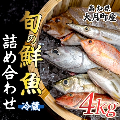 高知県産 鮮魚 詰め合わせ便 4kg 谷鮮魚食堂 刺し身 煮付け 産地直送 生魚 刺身 刺し身