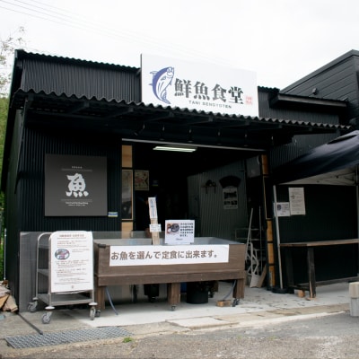 高知県産 鮮魚 詰め合わせ便 4kg 谷鮮魚食堂 刺し身 煮付け 産地直送 生魚 刺身 刺し身