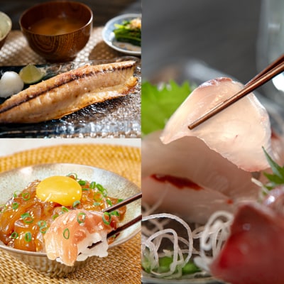 高知県産 鮮魚 詰め合わせ便 4kg 谷鮮魚食堂 刺し身 煮付け 産地直送 生魚 刺身 刺し身