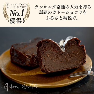濃厚 ガトーショコラ 1本 18cm 定期便 3回 なめらか 小麦粉不使用 チョコレート ケーキ