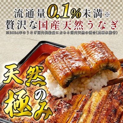 希少 国産天然うなぎ蒲焼 約1～2人前 200g 備長炭焼き 冷凍 うなぎ 蒲焼 四万十川