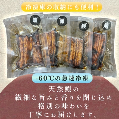 希少 国産天然うなぎ蒲焼 約1～2人前 200g 備長炭焼き 冷凍 うなぎ 蒲焼 四万十川