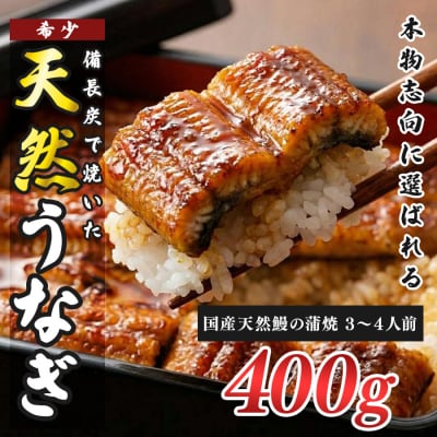 希少 国産天然うなぎ蒲焼 約3～4人前 400g 備長炭焼き 冷凍 うなぎ 蒲焼 四万十川