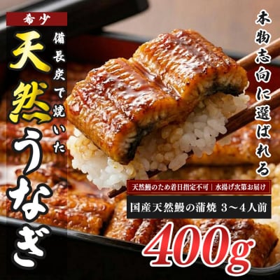 希少 国産天然うなぎ蒲焼 約3～4人前 400g 備長炭焼き 冷凍 うなぎ 蒲焼 四万十川
