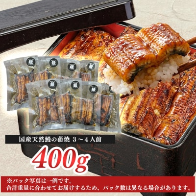 希少 国産天然うなぎ蒲焼 約3～4人前 400g 備長炭焼き 冷凍 うなぎ 蒲焼 四万十川